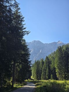 Fotografija s spletne strani Damir Habuš na poti