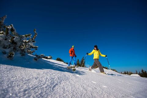 Schneeschuhwandern auf der Rax