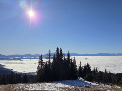 Fotografija s spletne strani brimo na poti