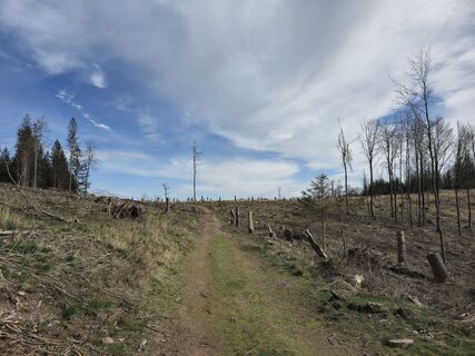 Foto von Jana Rudloff entlang der Tour