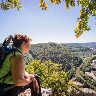 Panorama auf Geislingen vom Anwandfelsen