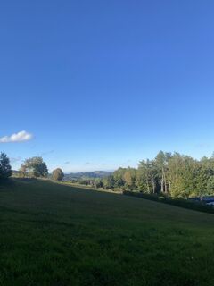 Foto de Sandy a lo largo del recorrido