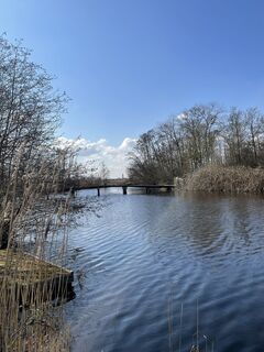 Fotografie de la Rob Bosma de-a lungul turului