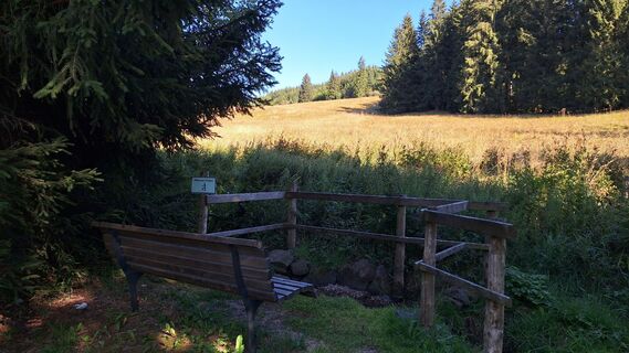 Foto von Steffi S. entlang der Tour