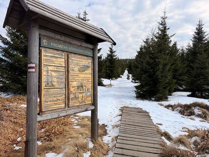 Fotografija s spletne strani Natur_erleben_dg na poti