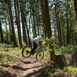 Zwickltag-Line (Roadlberg-Trails Skillpark)