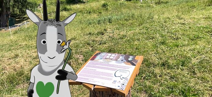 SAGENWEGAUGSTI_AlmraunggerlAugsti_©Kulturfux.JPG