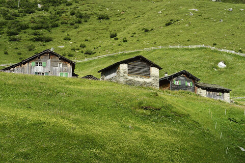 Peil; Foto: Robert Bösch