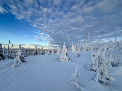 Foto von Natur_erleben_dg entlang der Tour