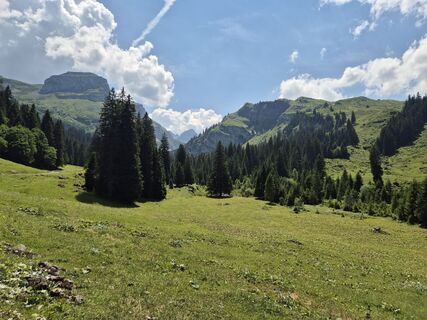 Fotografija s spletne strani alinradu na poti