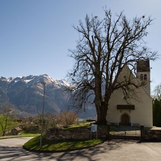Pestlinde vor der Kirche
