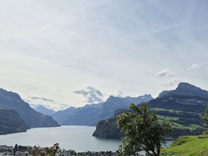 Foto de alinradu a lo largo del recorrido