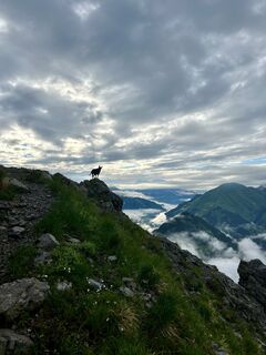 Fotografija s spletne strani Doris Kerber na poti