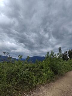 Photo de Sonja Herdeg le long du parcours
