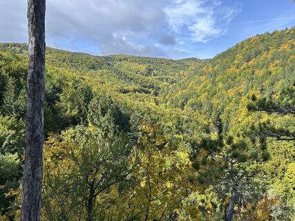 Fotografia z tjiong na trase
