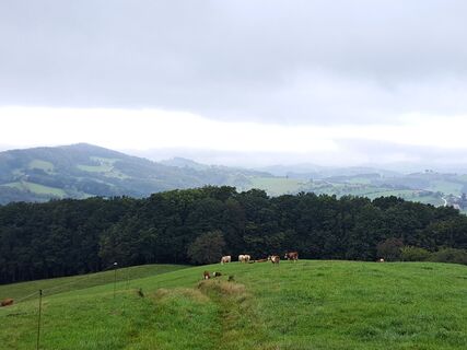 Fotografia z Walter Köllner na trase