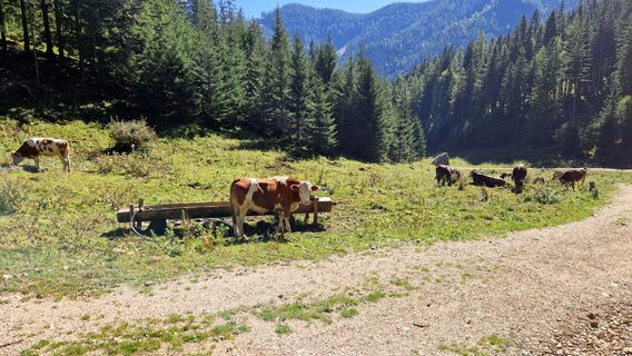 Kuva osoitteesta EP87 matkan varrella