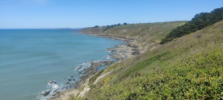 Photo de lazza le long du parcours