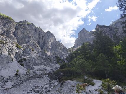 Photo de Siegfried Scholz le long du parcours