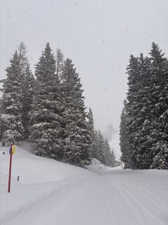 Photo from annnaa0801 along the tour