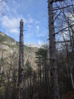 Fotografija s spletne strani Florian Dürnegger na poti