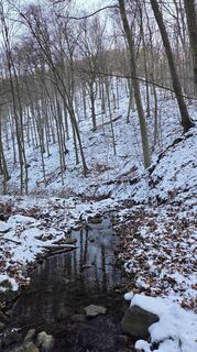 Fotografija s spletne strani János Zsolt Mahr na poti