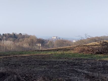 Foto de Poschacher a lo largo del recorrido