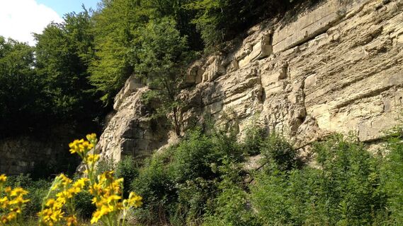 Kalk- und Karstlandschaft | Salzkotten-Niederntudorf