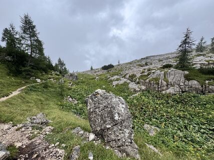 Fotografie z Dedanieldeboer na trase