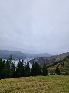 Foto von Seppy96 entlang der Tour