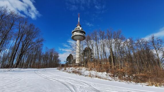 Foto von Regina Fleischmann entlang der Tour