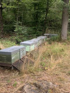 Foto von Bendifix entlang der Tour