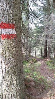 Fotografia z Aga M na trase