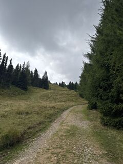 Foto von Roland Schotten entlang der Tour