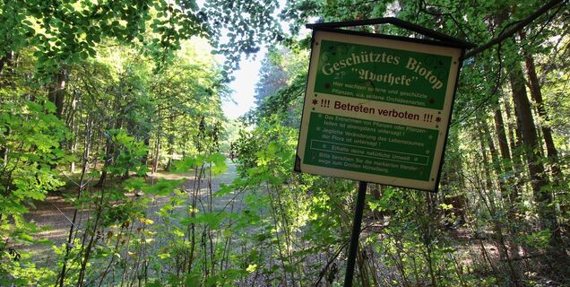 Infoschild mit der dahinterliegenden Apothekerwiese