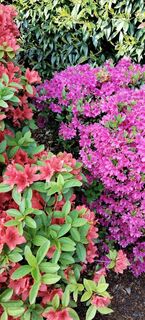 Foto von Wolfgang Suschnig entlang der Tour