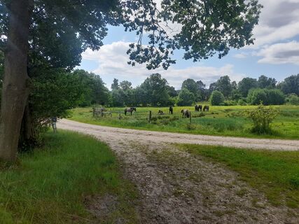 Fotografia z Sven Behnke na trase