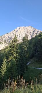 Photo de Daniel Böhm le long du parcours