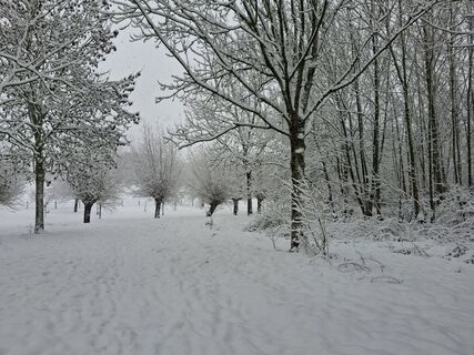 Zdjęcie z Peter spierenburg wzdłuż trasy