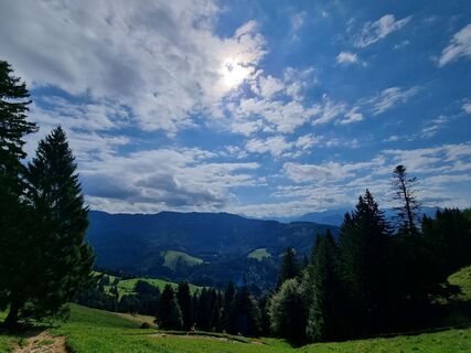 Foto från Ulrike Schramm under resans gång