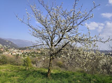 Zdjęcie z Guido Lovati wzdłuż trasy