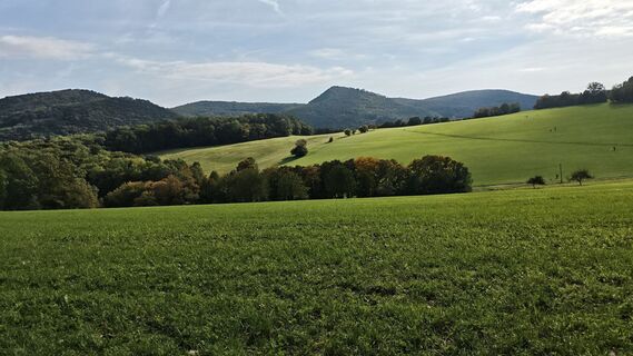 Photo from Susanne Genswein along the tour