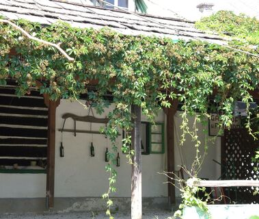 Feidig's Seehof