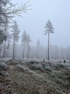 Fotografie z Andreas na trase