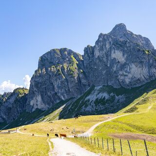 Der Aggenstein