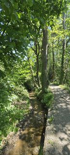 Photo de titi le long du parcours
