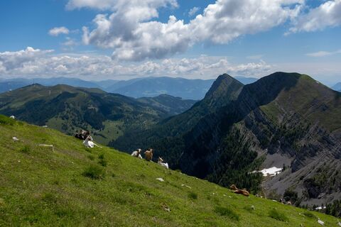 Weg zum Latschur