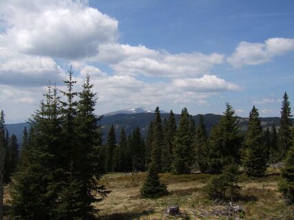 Wanderung vom Klippitztörl auf den Hohenwart