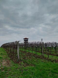 Foto da Monika Weingartner lungo il tour