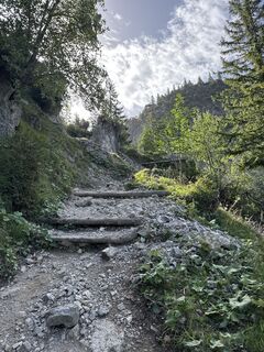 Fotografija s spletne strani Elli na poti